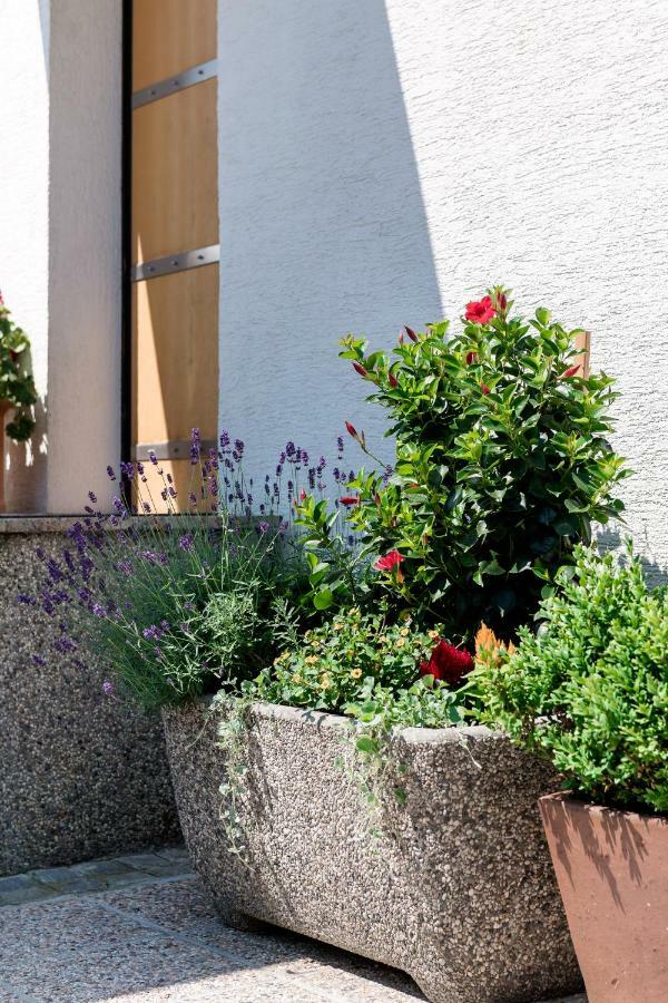 Rozna Dolina Apartment Любляна Екстериор снимка